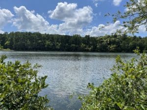 Umstead state park