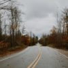 alisa-anton-Oy195xlTAMM-unsplash