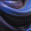 Some Language Features in Python