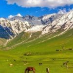 shakeel-ahmad-Z_MWEx6MgHI-unsplash