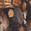 Logging in Python<br/>Photo by <a href="https://www.pexels.com/photo/brown-firewood-122588/">ilaria88</a>. Some rights reserved.