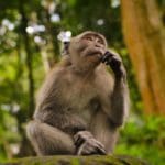 juan-rumimpunu-nLXOatvTaLo-unsplash