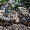 david-clode-vec5yfUvCGs-unsplash