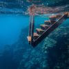 Overview of Some Deep Learning Libraries Photo by <a href="https://www.pexels.com/photo/view-of-wooden-steps-taken-underwater-3634369/">Francesco Ungaro</a>