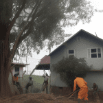 cutting-tree
