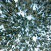 forest_cover