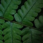 frame-harirak-5NpLxf0xWUM-unsplash