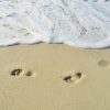 A Gentle Introduction to R Markdown<br/>Photo by <a href="https://unsplash.com/photos/GA_pY584htc">Khadeeja Yasser</a>. Some rights reserved.