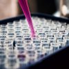 Statistical Tests in R.<br/>Photo by <a href="https://unsplash.com/photos/pwcKF7L4-no">Louis Reed</a>. Some rights reserved.