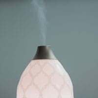 felicia-buitenwerf-8xFgmFnOnAg-unsplash