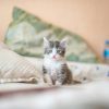 kote-puerto-so5nsYDOdxw-unsplash