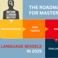 mlm-roadmap-mastering-lms-2025