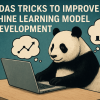 mlm-7-pandas-tricks-improve-machine-learning-model-development